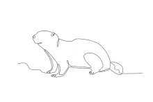 "Single Line Groundhog Art: A Simple Way to Illustrate a Burrowing Mammal"