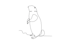 One Line Groundhog Art: Draw a Forest Animal with Simple Techniques