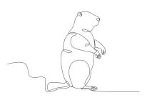 One Line Groundhog Sketch: Easy Art for Exploring Small Animal Forms