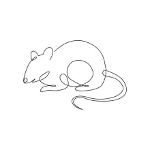 "One Line Mouse Art: A Simplified Approach to Capturing Small Wildlife Energy"