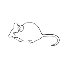 "Continuous Line Mouse Art: Capturing a Lively Rodent’s Movement with Simplicity"