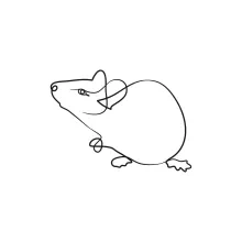 "Minimalist Rat Drawing: Illustrating a Small Rodent with One Artistic Line"