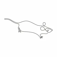 "One Line Rat Illustration: A Simplified Approach to Agile and Expressive Wildlife Figures"