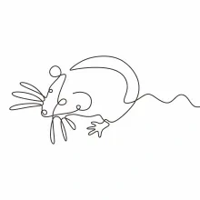 "One Line Rat Sketch: A Minimalist Approach to Agile and Small Wildlife Forms"