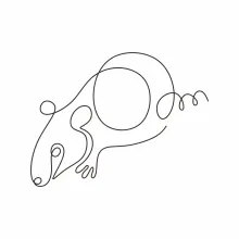 "Minimalist Rat Drawing: A One Line Study of Quick and Recognizable Wildlife Creatures"