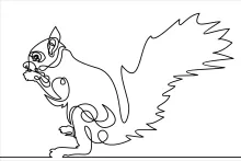 Simple Squirrel Drawing: One Line Art for Nature-Loving Learners