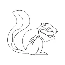 One Line Squirrel Art: Practice Drawing Small Woodland Creatures