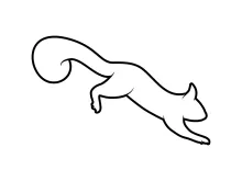 "Continuous Line Squirrel Sketch: A Simple Way to Illustrate a Lively Creature"