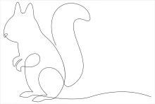"Minimalist Squirrel Drawing: Simplifying an Energetic Creature with One Stroke"