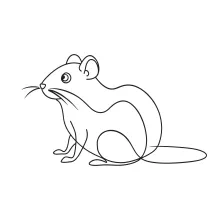 One Line Vole Drawing: Practice Small Animal Art with Simple Lines