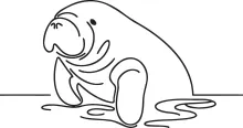 "One Line Manatee Drawing: A Simplified Approach to Capturing Marine Wildlife Forms"