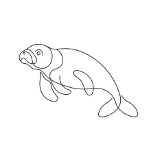 One Line Manatee Animal Drawing for Building Basic Drawing Confidence