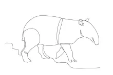 One Line Drawing of a Tapir: Easy Art for Learning Unique Animals
