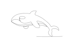 Orca Whale One Line Drawing: Marine Predator in Minimalist Form