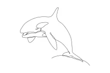 Orca One Line Drawing: Explore Marine Wildlife with a Simple Sketch