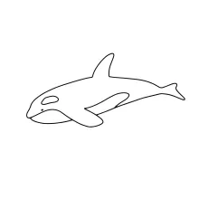 Killer Whale One Line Drawing: Simple Ocean Predator Art