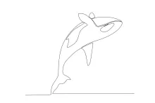 Killer Whale One Line Drawing: Strong Ocean Predator in Simple Form