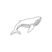 Big Whale One Line Art: Learn Sea Animal Shapes with Confidence