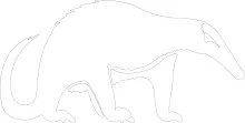 "Minimalist Anteater Illustration: A One Line Study of Distinct Wildlife Shapes"