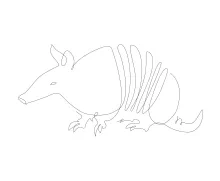 "One Line Armadillo Art: A Simplified Approach to Capturing Wildlife Defense Mechanisms"