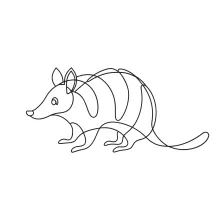 One Line Armadillo Drawing for Learning to Sketch Unique Animal Shapes