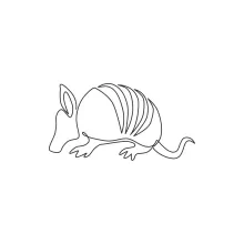 Easy Armadillo Drawing in One Line for All Ages and Skill Levels