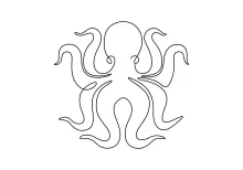 One-Line Octopus Drawing for Pattern Layout and Tentacle Structure