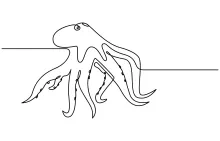 Creative One-Line Octopus Drawing for Exploring Radial Symmetry in Art