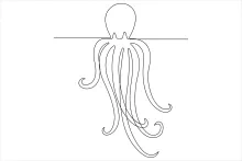 One-Line Octopus Drawing to Study Symmetry and Multi-Arm Arrangement