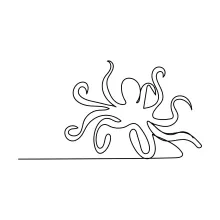Learn Shape Complexity Through One-Line Octopus Drawing