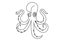 Practice Shape Repetition with a One-Line Octopus Drawing