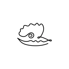 Oyster Shell One-Line Drawing to Study Texture and Natural Curves