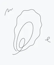 One-Line Oyster Drawing for Simple Outer Shapes and Layer Practice