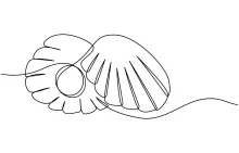 One-Line Drawing of Pearl in Oyster for Practicing Curved Structure