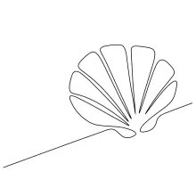 One-Line Oyster Shell Drawing for Studying Irregular Natural Shapes