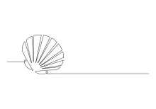 Draw an Open Oyster Shell in One Line to Understand Layered Natural Forms
