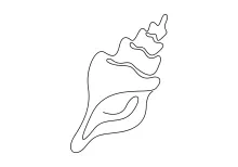 One-Line Seashell Drawing to Practice Visual Balance and Rhythm