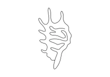 Draw a Seashell in One Line for Simple Repetition and Line Study