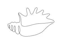One-Line Seashell Drawing to Reinforce Shape Recognition and Patience