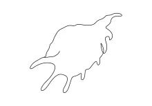One-Line Seashell Drawing for Calm, Repetitive Curve Practice