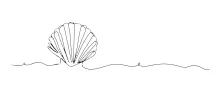 One-Line Seashell Drawing for Repetition and Visual Pattern Study