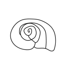 Simple One-Line Seashell Drawing for Improving Flow and Consistency