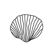 One-Line Seashell Drawing for Exploring Structure in Nature-Based Art