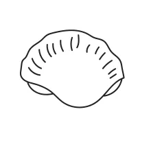 One-Line Seashell Drawing for Visual Rhythm and Simplicity