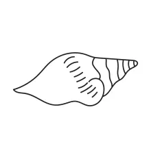 Easy One-Line Seashell Drawing for Practicing Line Control