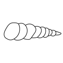 One-Line Seashell Drawing to Develop Line Control and Confidence