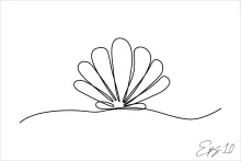 Simple Seashell One-Line Drawing to Explore Symmetry and Shape Memory