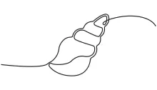 Strengthen Line Planning with a Simple One-Line Seashell Drawing