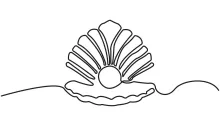 One-Line Seashell Drawing to Practice Smooth Curves and Edge Details