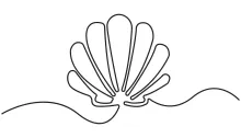 Explore Ocean-Inspired Shapes with a One-Line Seashell Drawing